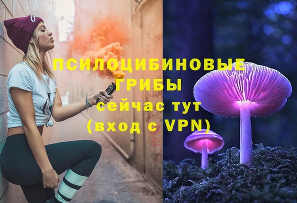 Альфа ПВП Абаза