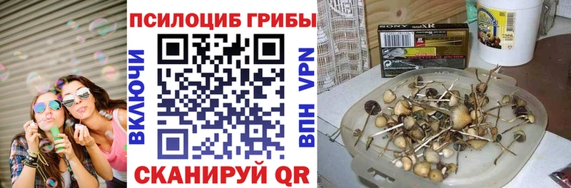Псилоцибиновые грибы Cubensis  omg ссылки  Сорочинск 