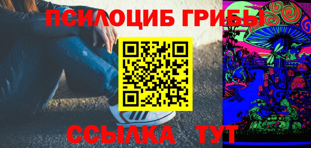 Псилоцибиновые грибы Psilocybine cubensis  Вход с VPN  Сорочинск 