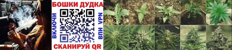 Шишки марихуана индика  наркота  Сорочинск 