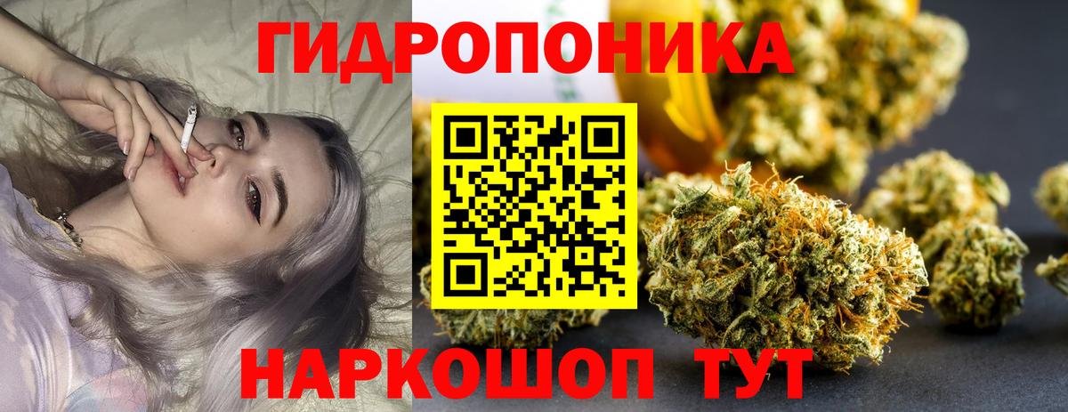 Шишки марихуана индика  Конопля LSD WEED  Сорочинск  Конопля MAZAR  Вход с VPN 